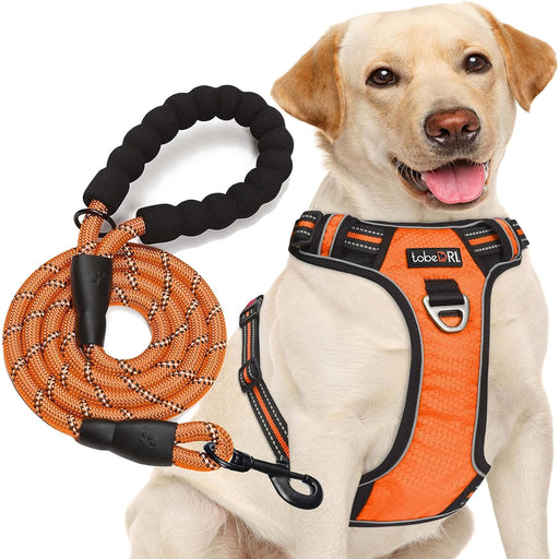 No Pull Dog Harness Adjustable Reflective Oxford Easy Control Medium Large Dog Harness with a Free Heavy Duty 5Ft Dog Leash (L (Neck: 18"-25.5", Chest: 24.5"-33"), Blue Harness+Leash)