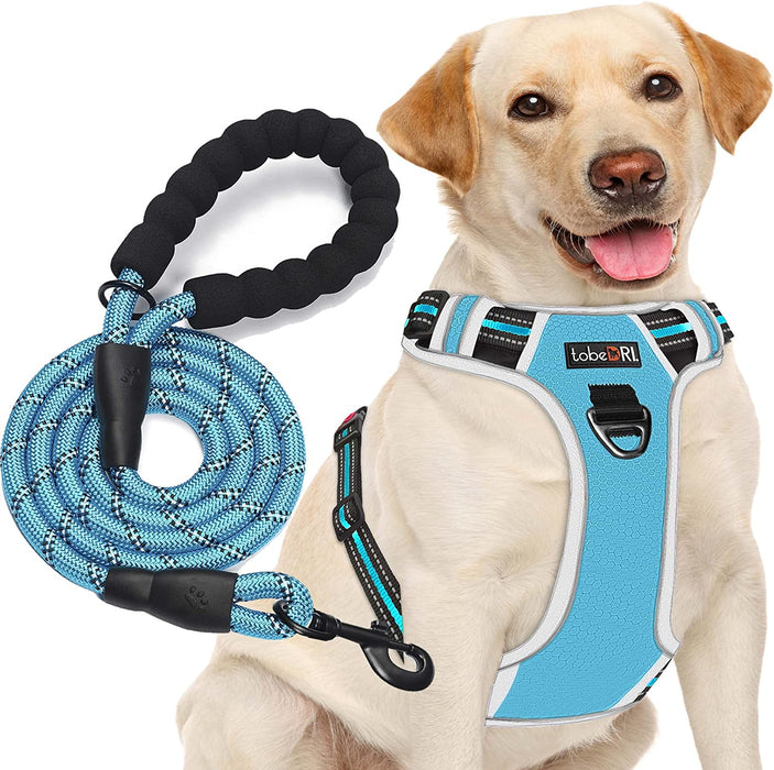 No Pull Dog Harness Adjustable Reflective Oxford Easy Control Medium Large Dog Harness with a Free Heavy Duty 5Ft Dog Leash (L (Neck: 18"-25.5", Chest: 24.5"-33"), Blue Harness+Leash)