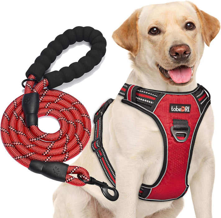 No Pull Dog Harness Adjustable Reflective Oxford Easy Control Medium Large Dog Harness with a Free Heavy Duty 5Ft Dog Leash (L (Neck: 18"-25.5", Chest: 24.5"-33"), Blue Harness+Leash)