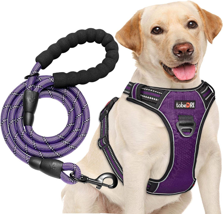 No Pull Dog Harness Adjustable Reflective Oxford Easy Control Medium Large Dog Harness with a Free Heavy Duty 5Ft Dog Leash (L (Neck: 18"-25.5", Chest: 24.5"-33"), Blue Harness+Leash)