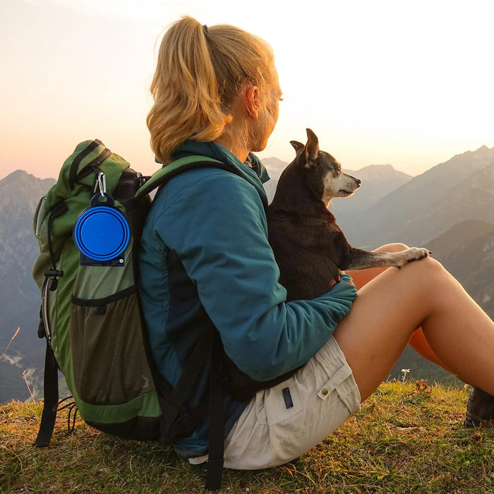 Collapsible Dog Dual Bowls Reinforced Rim 180 Degrees Flip over Foldable Double Bowl with Lock Clips More Stable Dog Travel Bowls Pet Food Water Feeder (Blue)