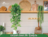 4Pcs Fake Plants Hanging Artificial Ivy Vine Faux Eucalyptus Hanging Plants, Boston Fern, String of Pearls for Living Room Bedroom Boho Wall Shelf Indoor Outdoor Decor