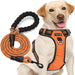 No Pull Dog Harness Adjustable Reflective Oxford Easy Control Medium Large Dog Harness with a Free Heavy Duty 5Ft Dog Leash (L (Neck: 18"-25.5", Chest: 24.5"-33"), Blue Harness+Leash)