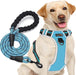 No Pull Dog Harness Adjustable Reflective Oxford Easy Control Medium Large Dog Harness with a Free Heavy Duty 5Ft Dog Leash (L (Neck: 18"-25.5", Chest: 24.5"-33"), Blue Harness+Leash)