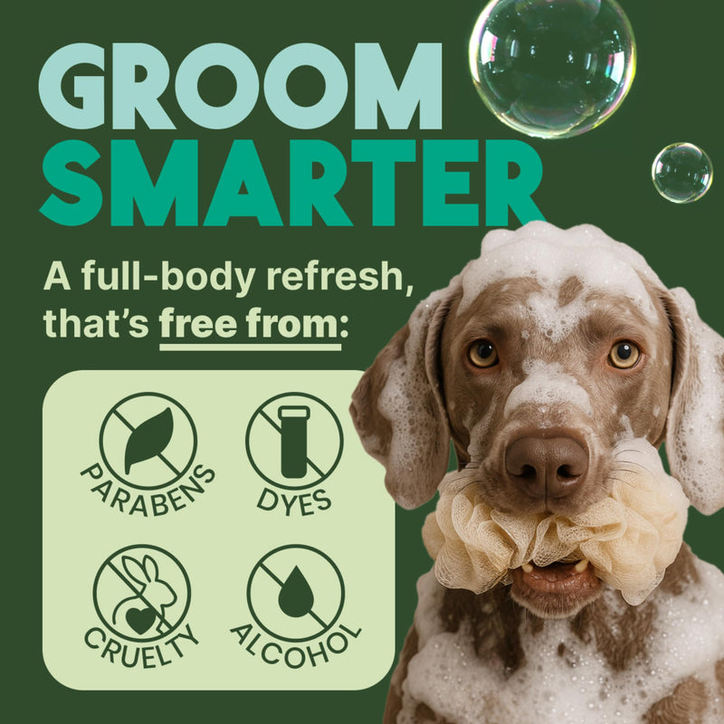 TropiClean oatmeal dog shampoo for itchy skin relief, with vitamin E, soothing medicated formula, puppy safe, 20 oz bottle.