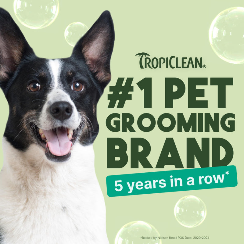 TropiClean oatmeal dog shampoo for itchy skin relief, with Vitamin E, puppy safe, made in USA, cat friendly, 20 oz bottle
