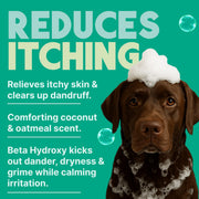 TropiClean oatmeal dog shampoo for itchy skin relief, with Vitamin E, soothing medicated formula, puppy safe, 20 oz bottle
