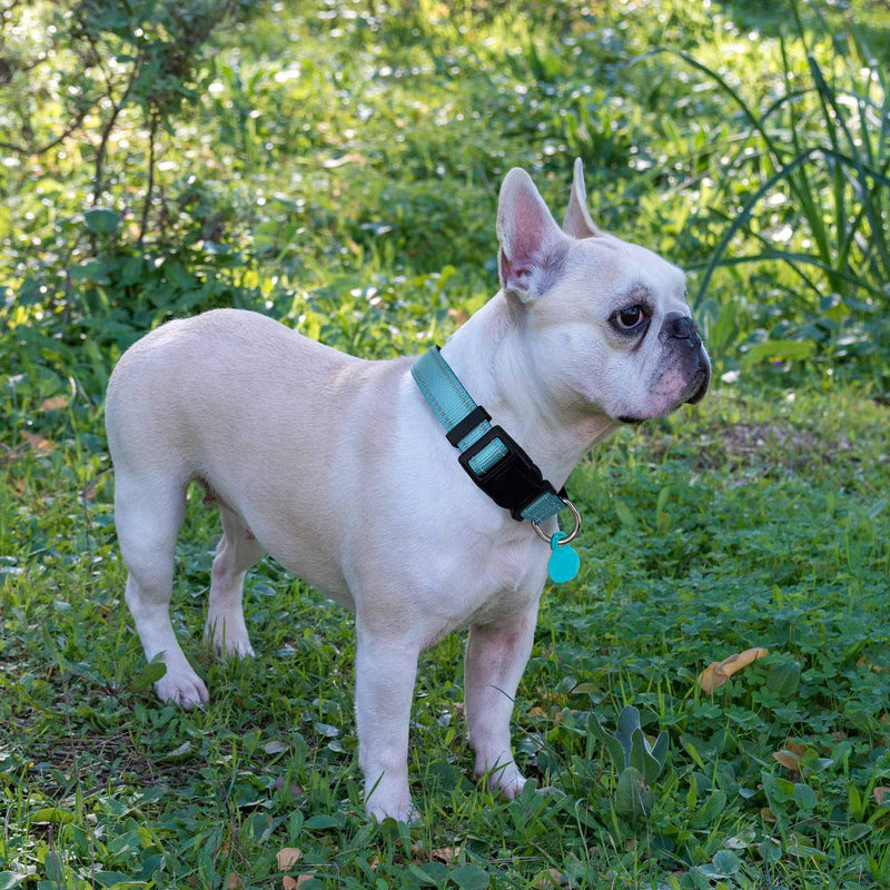 Ladoogo Reflective Dog Collar Padded with Soft Neoprene Breathable Adjustable Nylon Dog Collars for Small Medium Large Dogs (Medium (Pack of 1), Blue Collar+Leash)