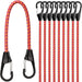 31-Piece Premium Bungee Cords Assortment Jar, Includes 10”,18”,24”,32”,40” Bungee Cords, 6“ Zip Ties, 8”Canopy/Tarp Ball Ties and Crocodile Mouth Tarp Clips