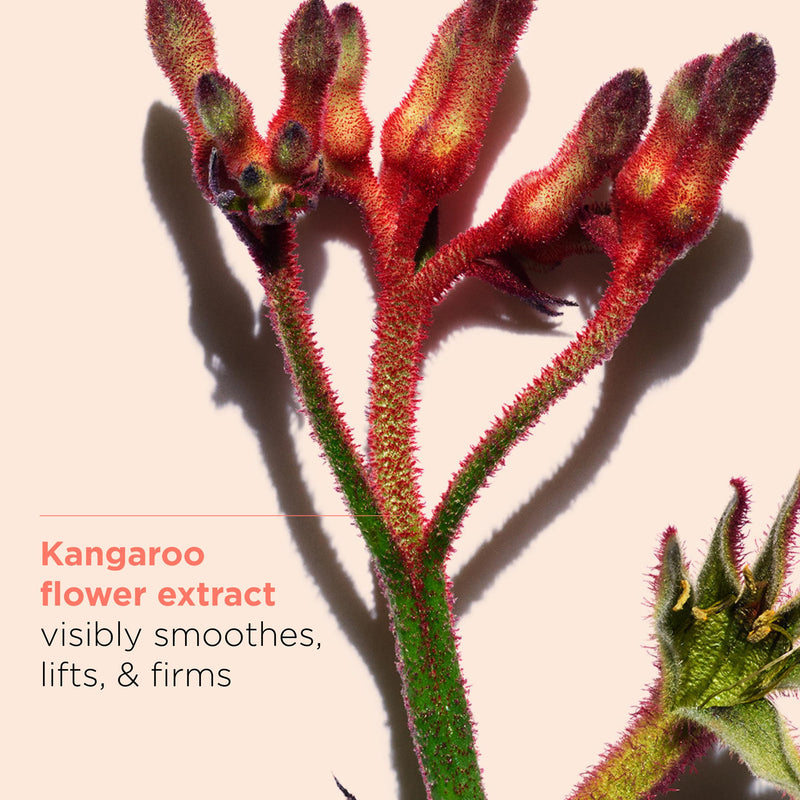 Clarins Extra-Firming Day Cream | Anti-Aging Moisturizer | Radiant & Plumper Skin in 28 Days | 1.7 oz - Durrett Recovery