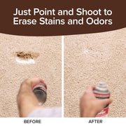 Horsepower Bull Shot Cleaner carpet stain remover spray with foam action for coffee, wine, soda, and grease stains on carpet.