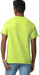 Unisex Adult Ultra Cotton T-Shirt, Style G2000, Multipack