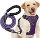 No Pull Dog Harness Adjustable Reflective Oxford Easy Control Medium Large Dog Harness with a Free Heavy Duty 5Ft Dog Leash (L (Neck: 18"-25.5", Chest: 24.5"-33"), Blue Harness+Leash)