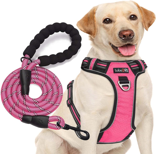 No Pull Dog Harness Adjustable Reflective Oxford Easy Control Medium Large Dog Harness with a Free Heavy Duty 5Ft Dog Leash (L (Neck: 18"-25.5", Chest: 24.5"-33"), Blue Harness+Leash)