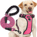 No Pull Dog Harness Adjustable Reflective Oxford Easy Control Medium Large Dog Harness with a Free Heavy Duty 5Ft Dog Leash (L (Neck: 18"-25.5", Chest: 24.5"-33"), Blue Harness+Leash)