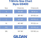Adult Heavy Cotton Long Sleeve T-Shirt, Style G5400, 2-Pack