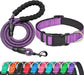 Reflective Dog Collar Padded with Soft Neoprene Breathable Adjustable Nylon Dog Collars for Small Medium Large Dogs (Medium (Pack of 1), Blue Collar+Leash)