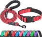 Reflective Dog Collar Padded with Soft Neoprene Breathable Adjustable Nylon Dog Collars for Small Medium Large Dogs (Medium (Pack of 1), Blue Collar+Leash)