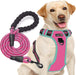 No Pull Dog Harness Adjustable Reflective Oxford Easy Control Medium Large Dog Harness with a Free Heavy Duty 5Ft Dog Leash (L (Neck: 18"-25.5", Chest: 24.5"-33"), Blue Harness+Leash)